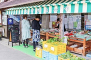 【高知】「良心市」で料金箱に10円入れて100円の小夏持ち去る…女を逮捕