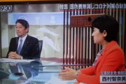 【ブーメラン】立憲・西村智奈美「F35を何故予約したのか」 小野寺五典「それ決めたの民主党政権」→西村「沢山買わされたのは安倍政権」 小野寺「それも民主党」