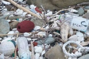 【画像】韓国人「韓国のゴミが日本の海岸に大量に流れつく現象が起こる…」→「輸出された韓国製品ではないの？」　韓国の反応