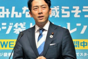 【自民党】小泉進次郎「環境の未来の為にプラスチックのスプーン フォークを有料5円にする」