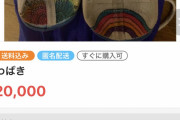 【超画像】美少女JK「上履きを2万円で売りまぁす！！！！！！！」