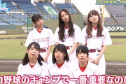 【日向坂46】「タルタルチキン」はメンバー内でも流行ってる模様ｗｗｗｗｗｗｗｗｗｗ