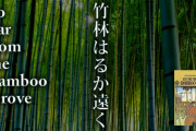 【韓国】「日本の歴史歪曲小説『竹林はるか遠く』が米国で必読書に！販売停止を求める！」