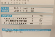 （ヽ´ん`）「クレカ審査通った」（ヽ´ん`）「男ならゴールドやろがい」（ヽ゜ん゜）「…！」