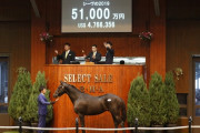 【セレクトセール2020】5億馬落札にショウナン国本哲秀氏「10億までは降りるつもりはなかった」
