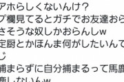 【悲報】駅員の胸ぐらを掴み逃走した撮り鉄、Twitterでイキリ逆ギレしてしまうｗｗｗｗ