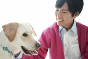 神谷浩史さんが「月刊TVガイド」に登場！ラブラドールレトリバーとの仲良しショットも公開