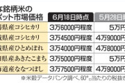 コメ価格暴落　新潟コシヒカリが３割安　転売ヤーの在庫が市場に出回り始める