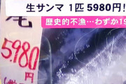 【艦これ】秋刀魚が歴史的不漁なのか・・・