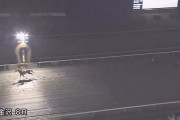 金沢競馬、係員が消灯タイマー『午後7時』を『17時』と間違えレース中に照明全て消えて大惨事になる