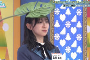 【日向坂46】ひなあい視聴者「なんだこの番組…」