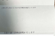 すい臓がんのユーチューバー、診断書とCVポートを公開病気を疑う心ない声のためか |  もう放っといてやれ
