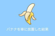 日本人がバナナを車内に放置したらとんでもない結果にｗｗｗ【台湾人の反応】