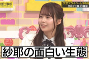 金川紗耶のスッピンが美人と話題に【やんちゃん】【乃木坂工事中】【乃木坂46】