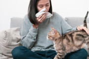 猫好きだけど猫アレルギー、そんな人に朗報かも。アレルギーの症状を緩和してくれる抗体入りのキャットフードの開発