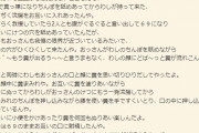 【悲報】コピペ連投荒らした推しっ子さん、自作自演でスレを伸ばして自己弁護