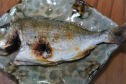 鯛の一番美味い食い方