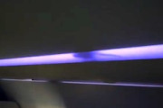 【動画】上空の飛行機の中を走り回るネズミが撮影される。