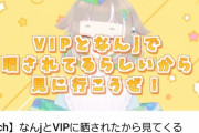 【悲報】なんJ民さん、過疎vtuberにメロメロになってしまう…?