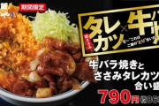 【画像】かつやの次の期間限定メニューが公開！！こういうのでいいんだよ！！！！