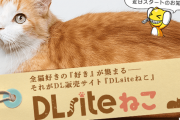 【真事実】DLsiteはネコだった