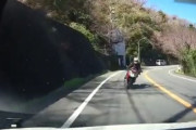 【悲報】バイク乗りの爺さん、カーブを曲がりきれず車と正面衝突してしまう