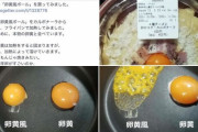 女さん「コンビニ弁当口に入れてるそこのアナタ。卵だと思って食べてるそれは、卵じゃないよ」