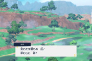 ポケモンの開発元って、マジで変えてほしいよな・・・