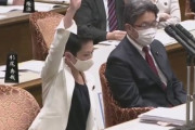 【アベノマスク】立憲民主党・蓮舫「麻生大臣は政府マスクをなんでつけてない？」→遂に理由が判明してしまう！そりゃしょうがないよ