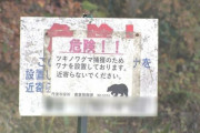 【肉食化したクマが人を襲う？】住宅から約50mの場所で…罠にかかって食われた鹿の死骸見つかる…冬眠時期の個体に出会ったら要注意