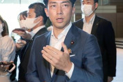 レジ袋で民意を聞いたか？みんなが迷惑してんだけど。  小泉進次郎氏「多様な声を反映する党に」