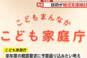 【異次元の少子化対策】こども家庭庁　税金で婚活支援を２０２５年から実施へ←無意味すぎると大炎上