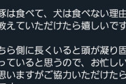 【悲報】ヴィーガンさん「すまん、豚は食べて犬は食べない理由って何？」