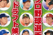 【朗報】 2021年プロ野球12球団それぞれの今年の顔が決まる