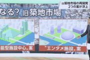 築地市場跡地再開発、巨人本拠地移転有力の築地スタジアムで決定