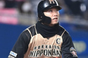 西川遥輝（28） .306　5本 42盗 UZR-12.4 ← メジャー行けなかった理由