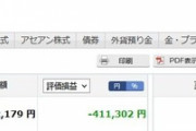 仕事辞めて投資で食べていく！って思って投資したけどもうすでにマイナス50万超えててワロタｗｗｗ（※画像あり）