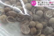 【テロ】中国発の謎の種、日米以外には英、加、豪にも送りつけていることが判明