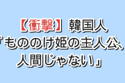 【衝撃】韓国人「もののけ姫の主人公、人間じゃない」
