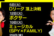 【日向坂46】『100カメ』に佐々木美玲が映り込む可能性が浮上！