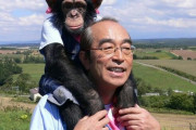 【悲報】元人気チンパンジーだったパン君の末路・・・