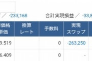 久しぶりにSBI証券開いたら強制ロスカットで200万消えてた