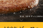 マック「へぇ。100%ビーフなんだ。」
