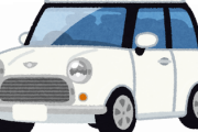 コンパクトカー買うやつwww