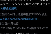 【悲報】東方大好き小学生ワイ、嫌われ過ぎてて草