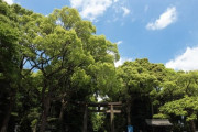 【日本終了】神社やお寺さん、撮影禁止にした理由がヤバかった・・・