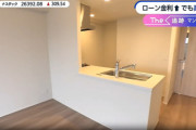 【動画】東京の1億円を超える分譲マンション、ショボすぎて日本人ざわつく…