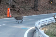 【大分】シカなどを狙って散弾銃を発射…流れ弾で公共施設のドアガラスなどに複数の穴