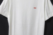 【画像】今更supremeのTシャツ買ってもいい？