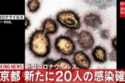 【悲報】東京、6月だけで308人